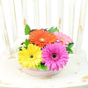Floral Daisy Hat box arrangement in bright colours. Same Day Vancouver Delivery.