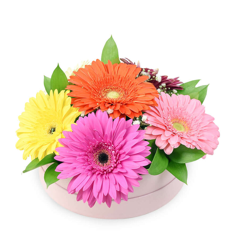 Floral Daisy Hat box arrangement in bright colours. Same Day Vancouver Delivery.