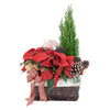 Winter Dreams Poinsettia Arrangement, Mixed Floral Arrangement, Holiday Flower Gifts from Vancouver Blooms - Same Day Vancouver Delivery.