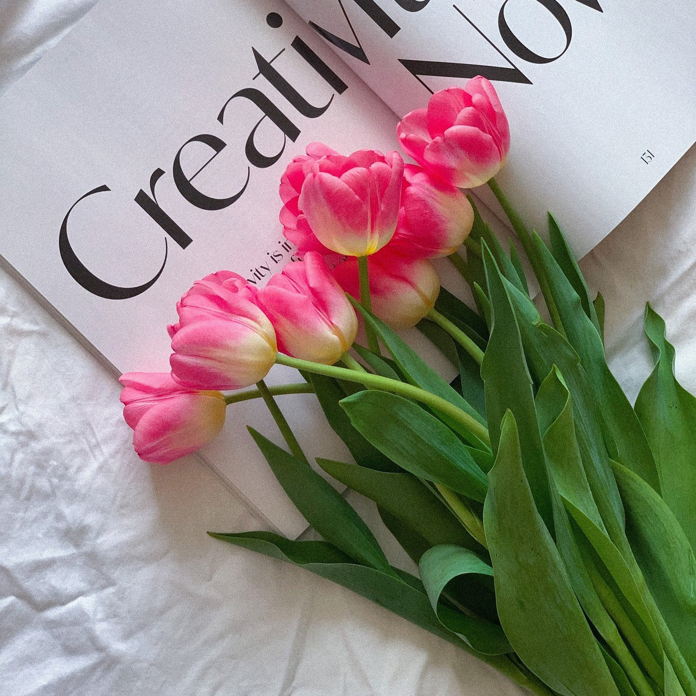 PLANT & FLOWER GIFTS