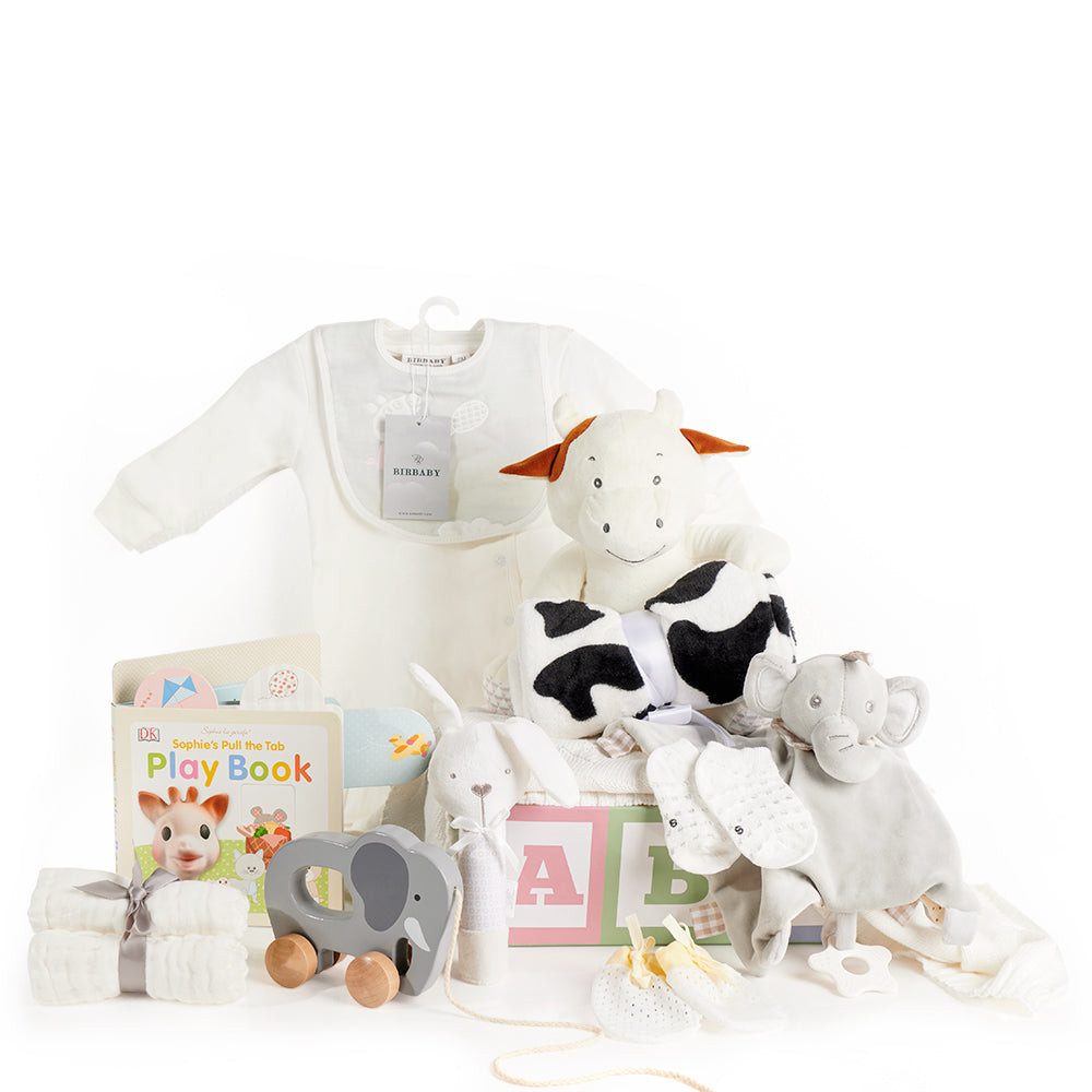 Panier cadeau bébé ABC