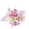 Orchid & Daisy Floral Gift Box, A lovely pink orchid and white daisies arranged with precision in a charming pink box, Floral Gifts from Vancouver Blooms - Same Day Vancouver Delivery.