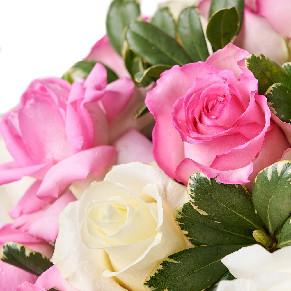 Gorgeous Rose Gift, gift baskets, a mix of pink and white roses beautifully arranged with lush greenery in a round box, Floral Gifts from Vancouver Blooms - Same Day Vancouver Delivery.