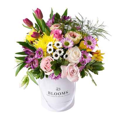 Mother's Day Mixed Spring Arrangement, a delightful mix of tulips, roses, spider chrysanthemums, daisies, alstroemeria, and lush greens thoughtfully arranged in a white hat box, Floral Gifts from Vancouver Blooms - Same Day Vancouver Delivery.