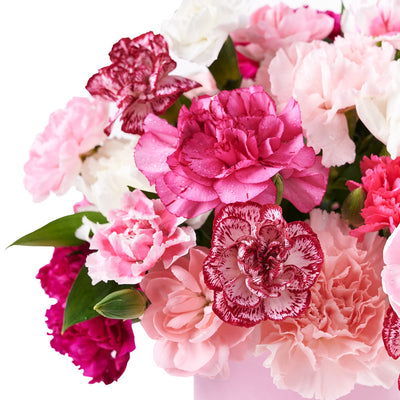 Perfectly Pink Carnation Gift Box, arrangement of pink and white carnations in a charming pink hat box is a thoughtful way to let someone special know you're thinking of them, Floral Gifts from Vancouver Blooms - Same Day Vancouver Delivery.