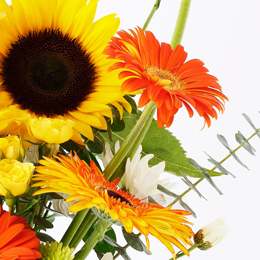 Exalted Amber Sunflower Bouquet - Vancouver Blooms - Canada flower delivery
