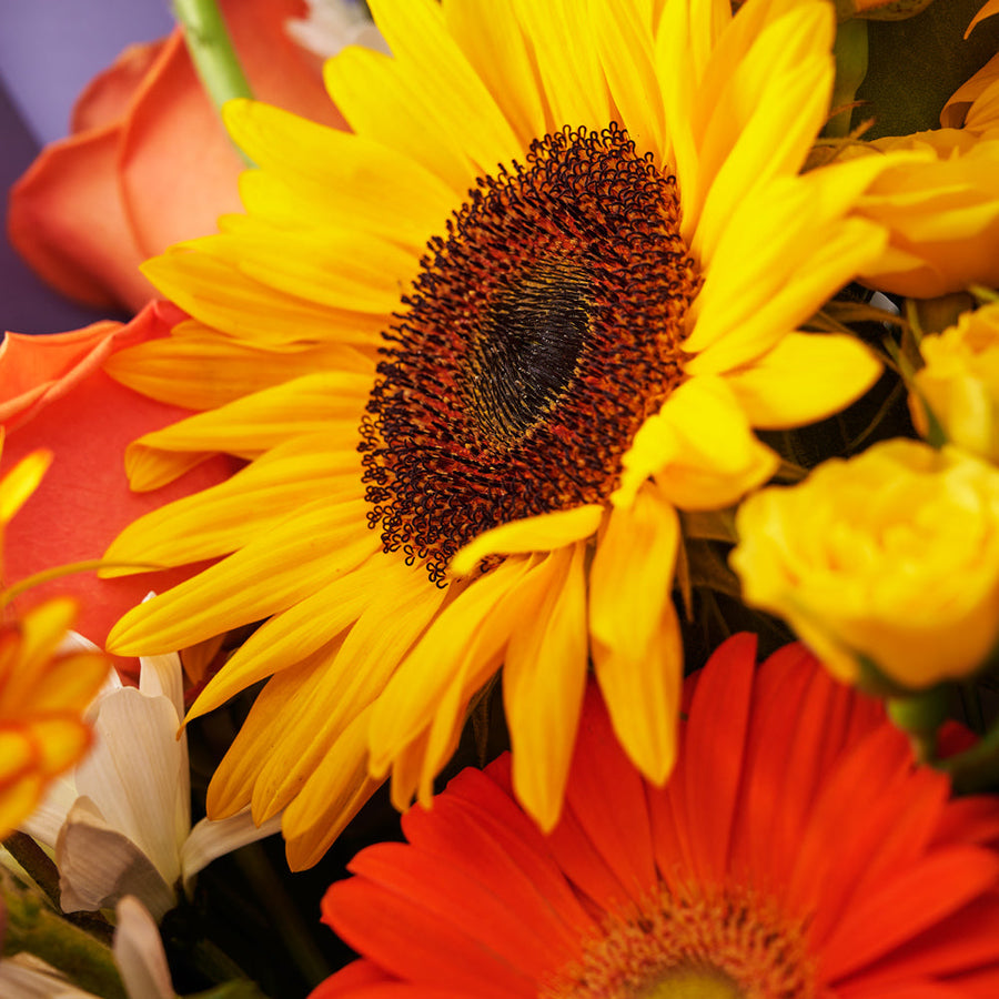 Ray of Hope Sunflower Bouquet, sunflower bouquet, assorted flowers bouquet, sunflowers, flowers, bouquet delivery canada, Vancouver