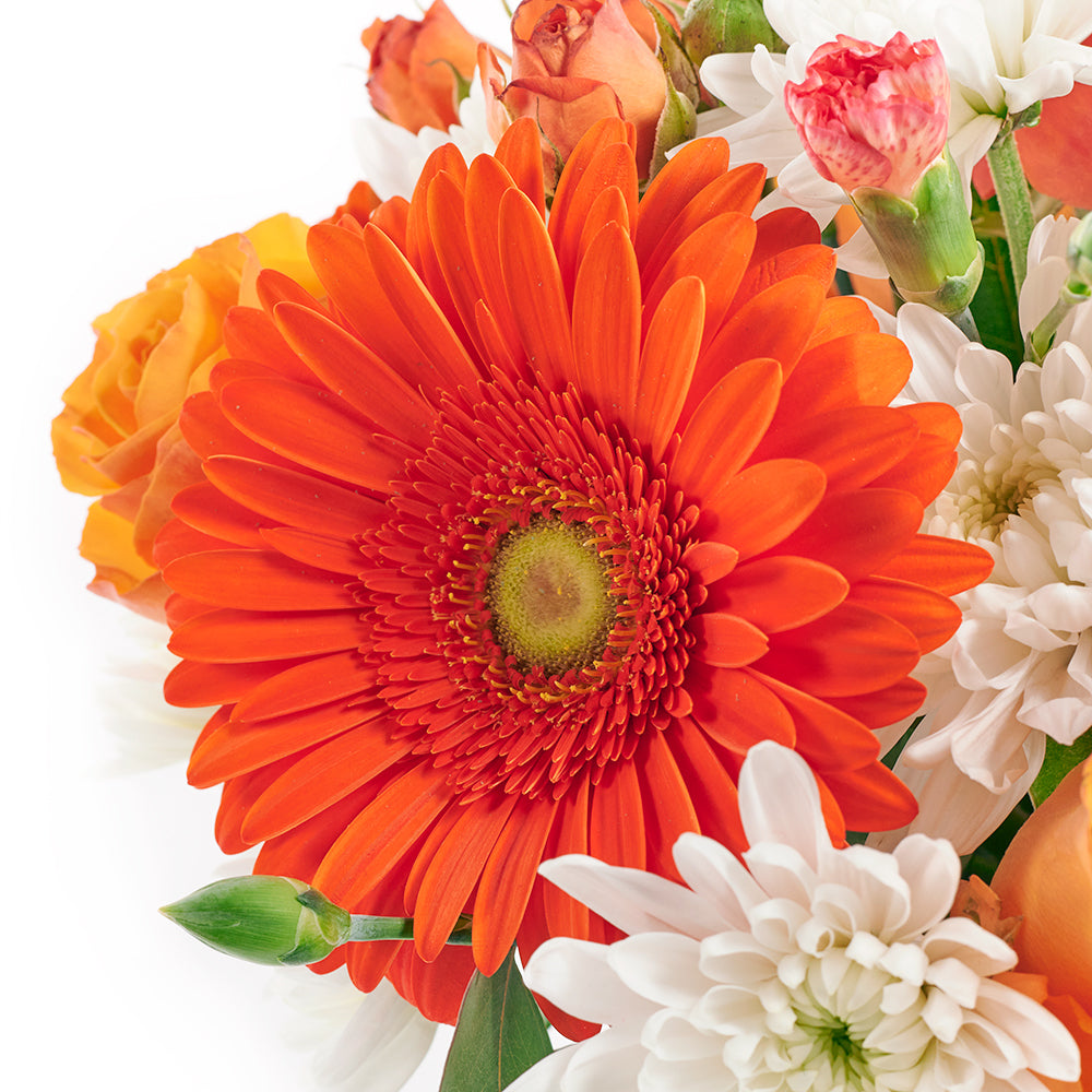 Forever Young Daisy Box - Mix Flower Hat Box Gift - Same Day Vancouver Delivery