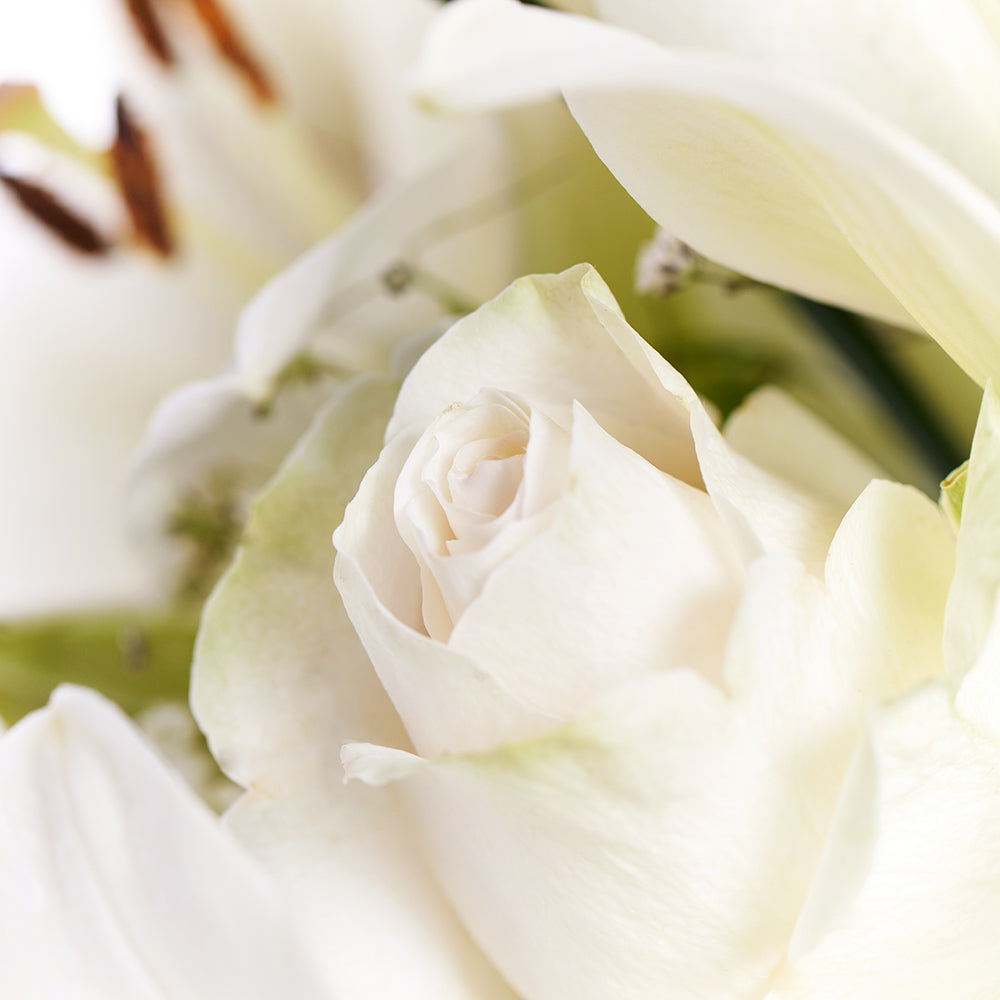 Alabaster Mixed Lily Arrangement – Lily Gifts – Same Day Vancouver delivery