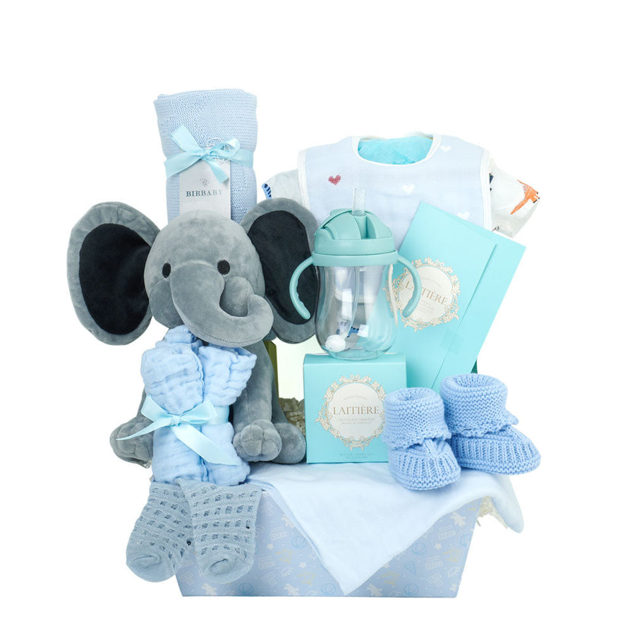 Baby Boy Bassinet - Baby Shower Gift Set - Vancouver Delivery