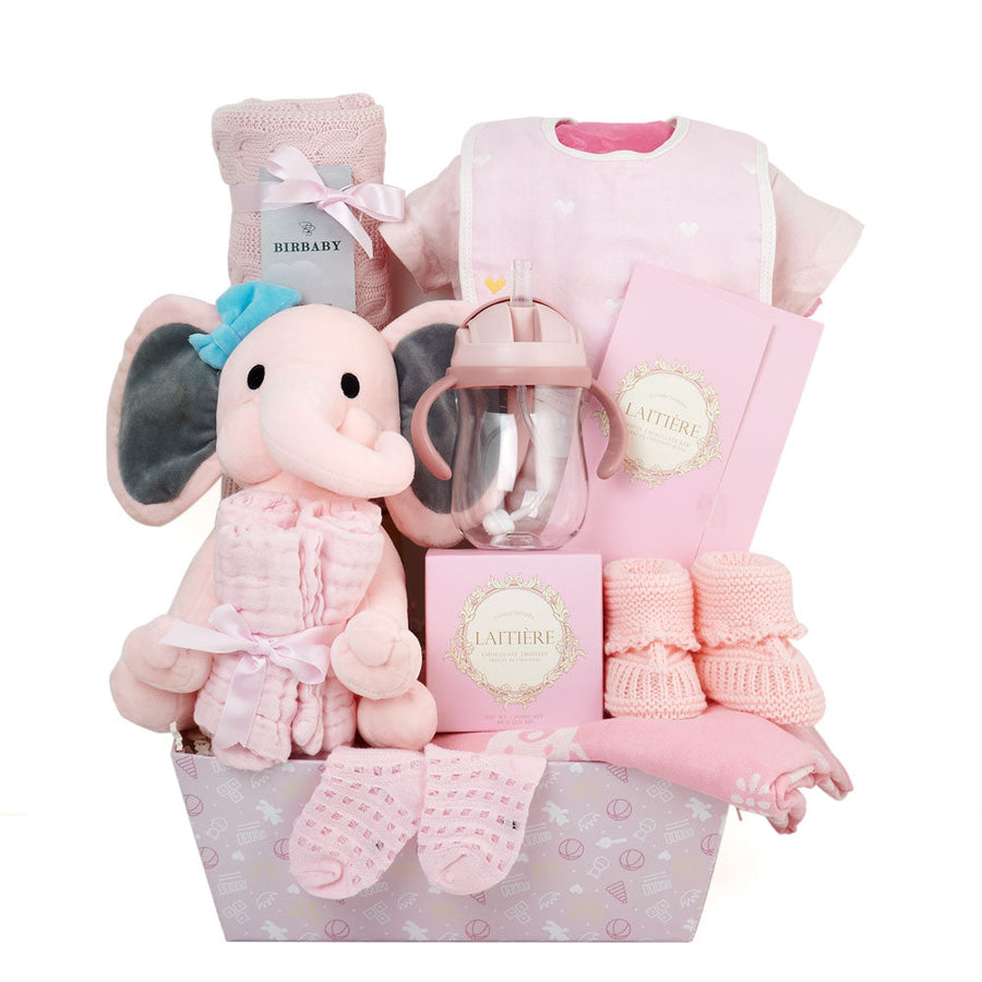 Baby Girl Gift Basket - Baby Shower Gift Set - Vancouver Delivery