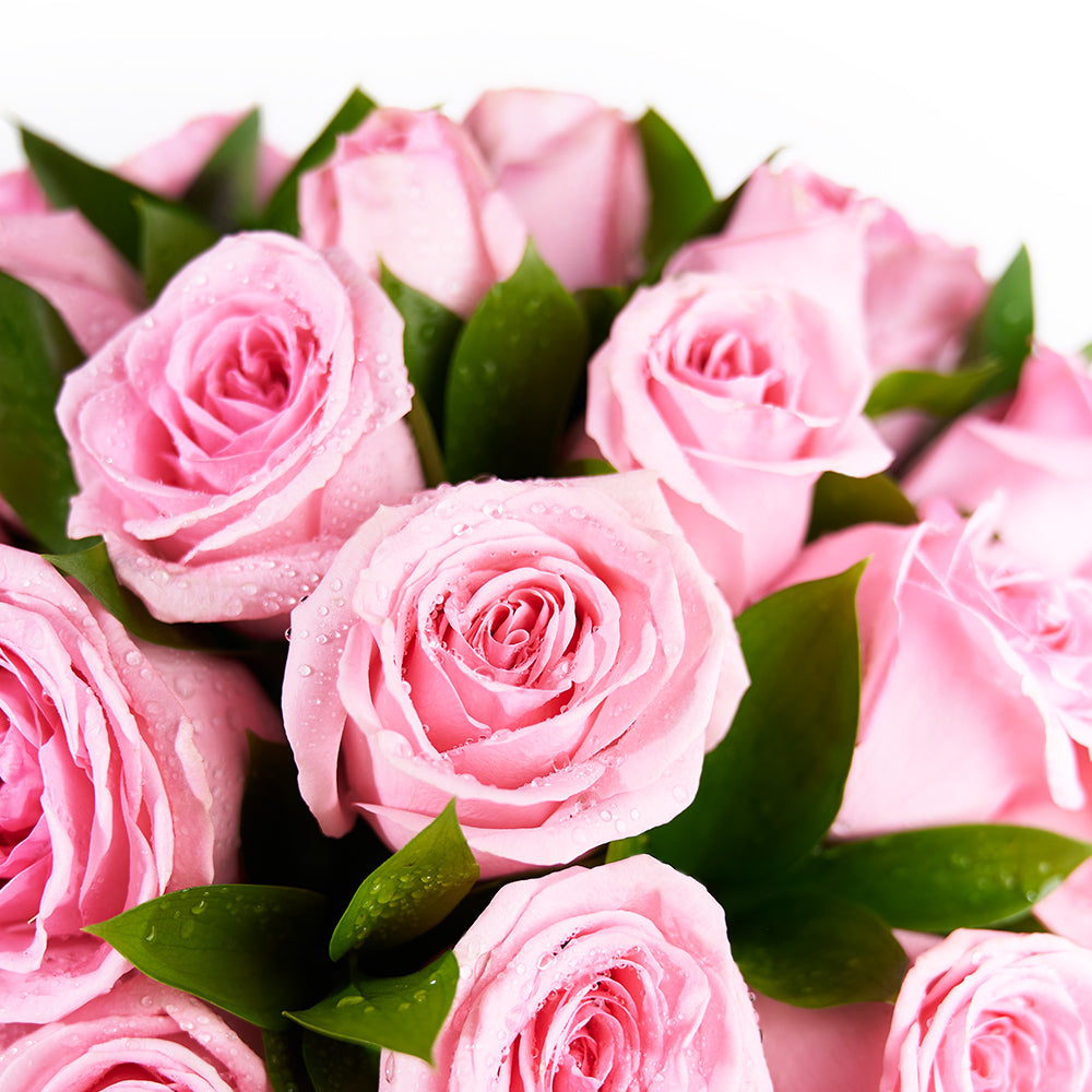 Blushing Rose Arrangement – Rose Gifts – Vancouver delivery