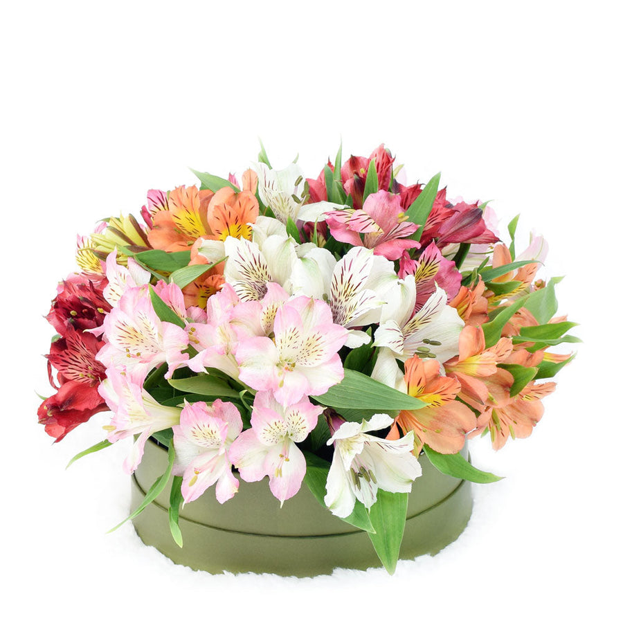 Brilliant multi-coloured lily floral box arrangement. Same Day Vancouver Delivery