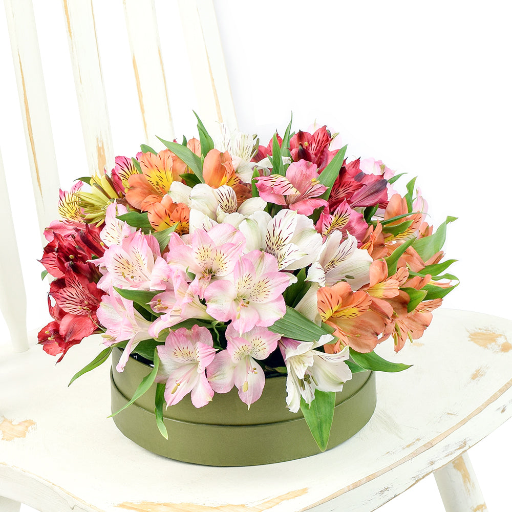 Brilliant multi-coloured lily floral box arrangement. Same Day Vancouver Delivery
