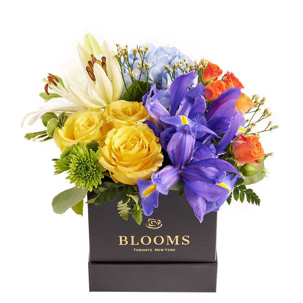 Iris and mixed floral box arrangement. Same Day Vancouver Delivery