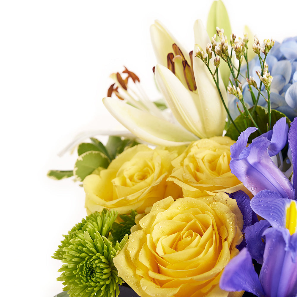 Iris and mixed floral box arrangement. Same Day Vancouver Delivery