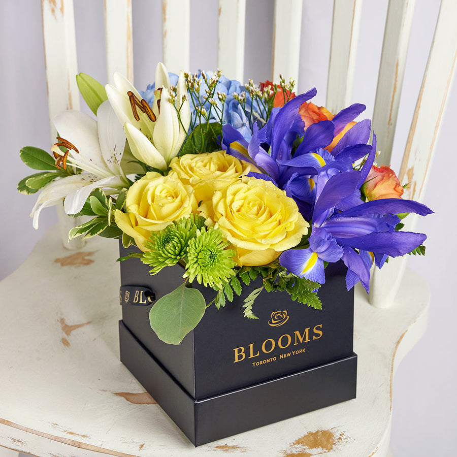 Iris and mixed floral box arrangement. Same Day Vancouver Delivery