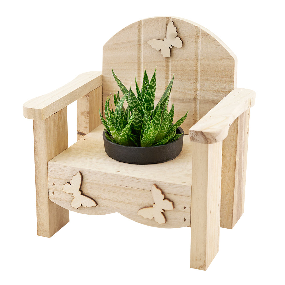 Butterfly planter chair arrangement with a potted succulent. Same Day Vancouver Delivery