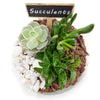Vancouver Same Day Flower Delivery - Vancouver Flower Gifts - Plant Gifts - Terrarium