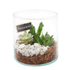 Vancouver Same Day Flower Delivery - Vancouver Flower Gifts - Plant Gifts - Terrarium