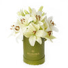 Cornsilk Surprise Lilies Box Arrangement, Flower Gifts from Vancouver Blooms - Same Day Vancouver Delivery.