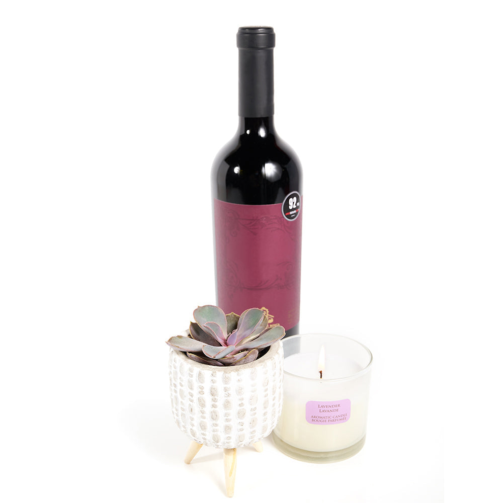 "You're Special" Plant & Wine Gift, Potted Succulent White Ceramic Planter with Lavender Candle and a Bottle of Red Wine, from Vancouver Blooms - Same Day Vancouver Delivery.