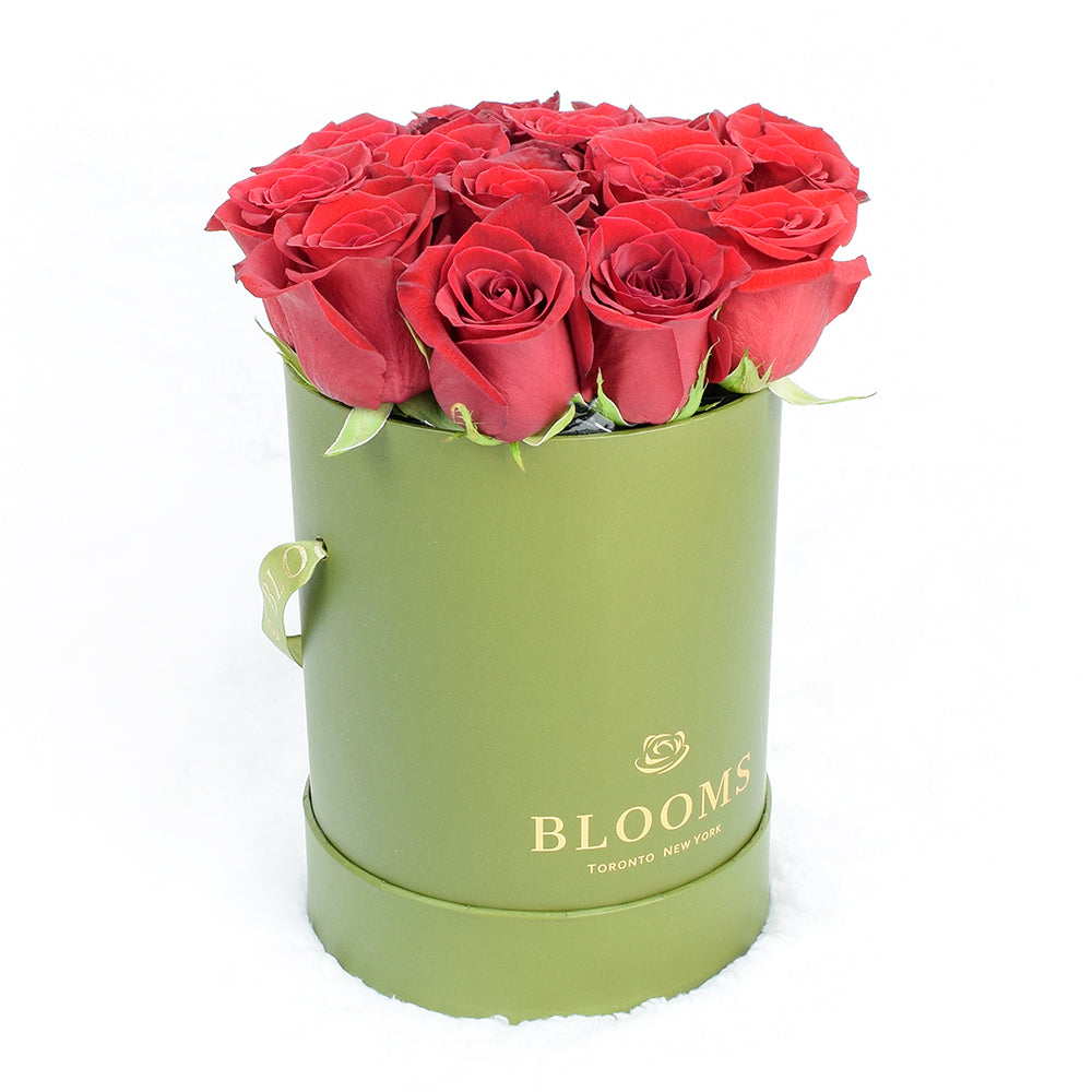Red Rose & Spring Green Gift Box Vancouver Deivery