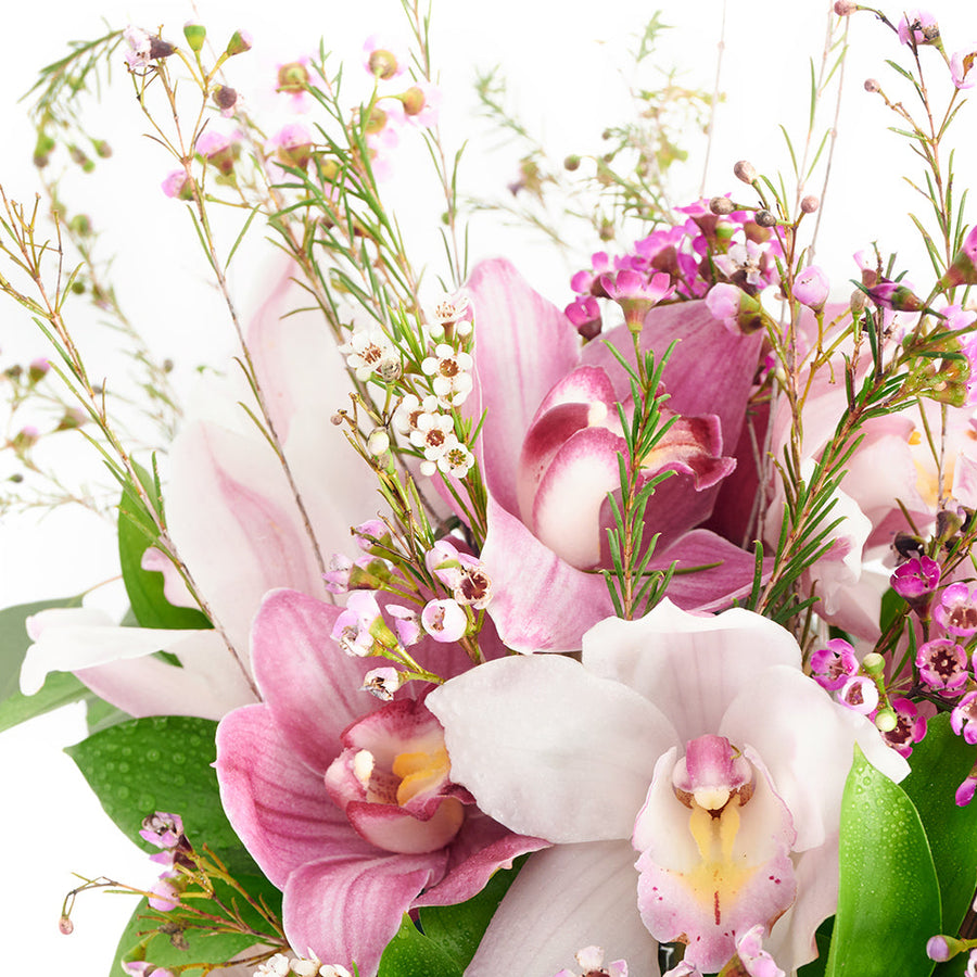 Dreaming of Orchids Flower Gift - Floral Arrangement Gift - Same Day Vancouver Delivery