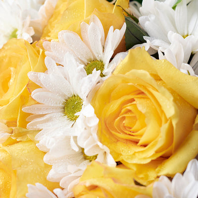 Floral Fantasy Daisy Bouquet - Floral Gift - Same Day Vancouver Delivery