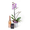 Floral Treasures Flowers & Champagne Gift, Orchid & Dark Chocolate with Champagne Gift Set, from Vancouver Blooms - Same Day Vancouver Delivery.
