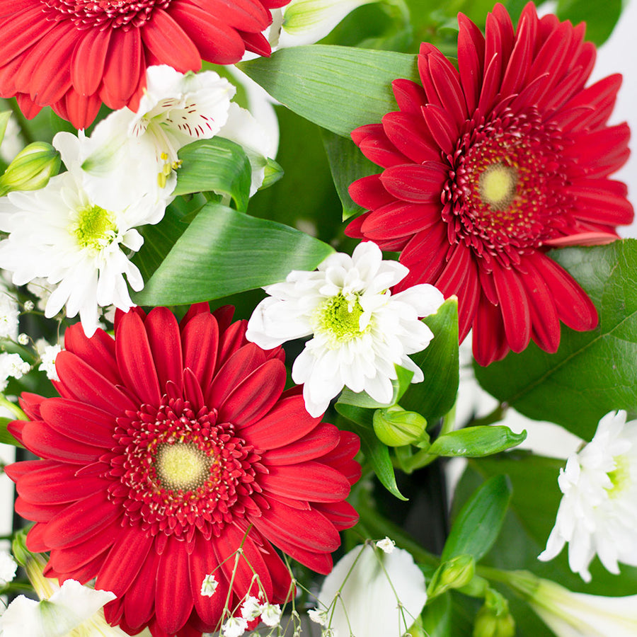 Fresh As a Daisy Gift Box is a stunning flower box arrangement from Vancouver Blooms.