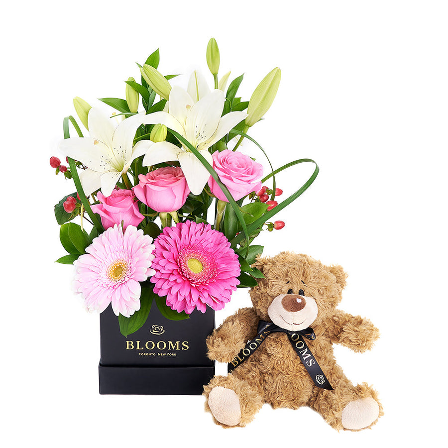 Gerbera Floral Arrangement & Bear Gift Set – Floral Gifts – Vancouver delivery