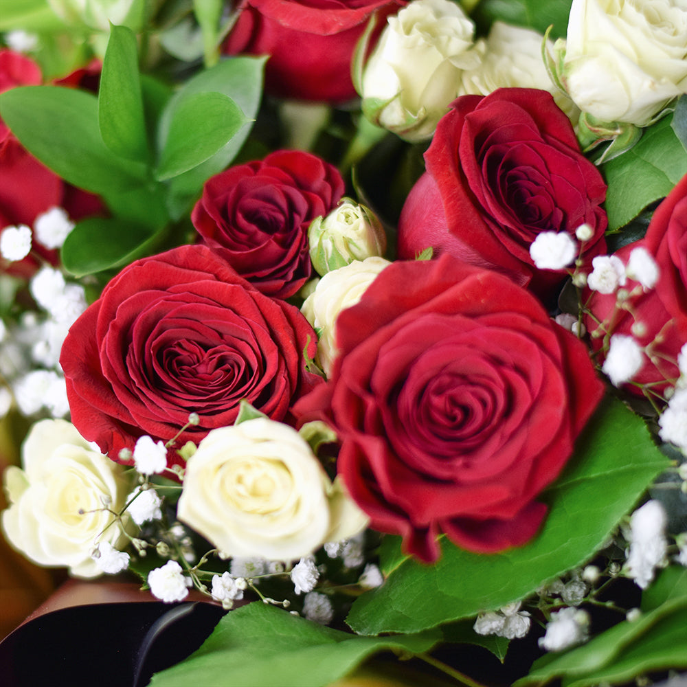 Harmony Mixed Rose Bouquet, Flower Gifts from Vancouver Blooms - Same Day Vancouver Delivery.