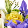 Irises in Paradise mixed arrangement. Same Day Vancouver Delivery