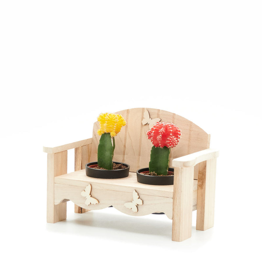 Desert Bench Cactus Arrangement, gift baskets, plant gifts, gifts, cactus, potted plant, succulent, Vancouver Delivery