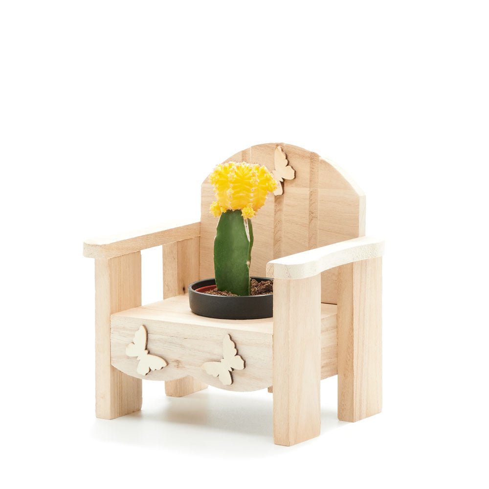 Laid-Back Cactus Gift, potted plant gift baskets, potted plant gifts, gifts, cactus, potted plant, Vancouver Delivery