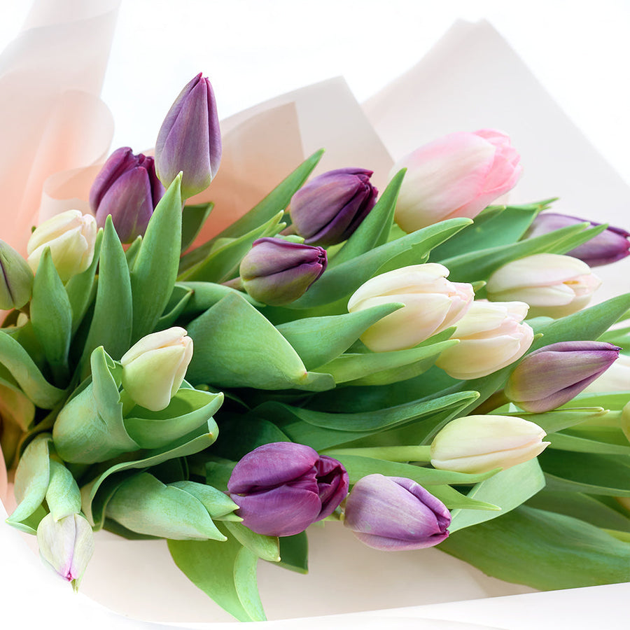 Bouquet de tulipes Lilas Dreams