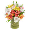 Livewire Lilies Flower Gift, Fresh Lily Flower Gifts from Vancouver Blooms - Same Day Vancouver Delivery.