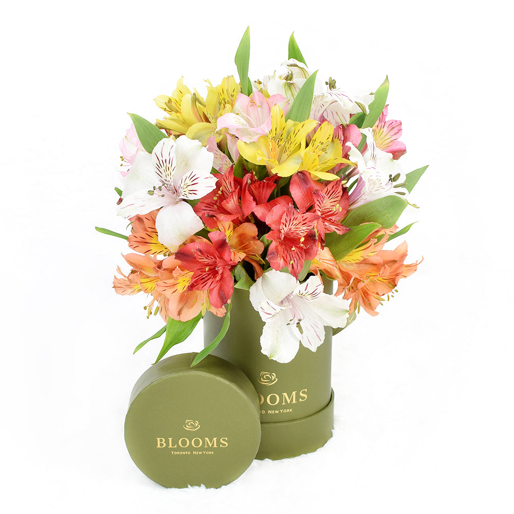 Livewire Lilies Flower Gift &amp; Chocolates, Chocolate with Fresh Lily Flower Gifts from Vancouver Blooms - Same Day Vancouver Delivery.