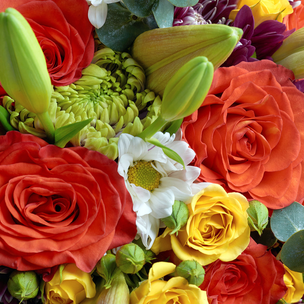 Love in Casablanca Mixed Rose Bouquet from Vancouver Blooms is a great gift to woo your beloved and whisk them away for a special celebration.
