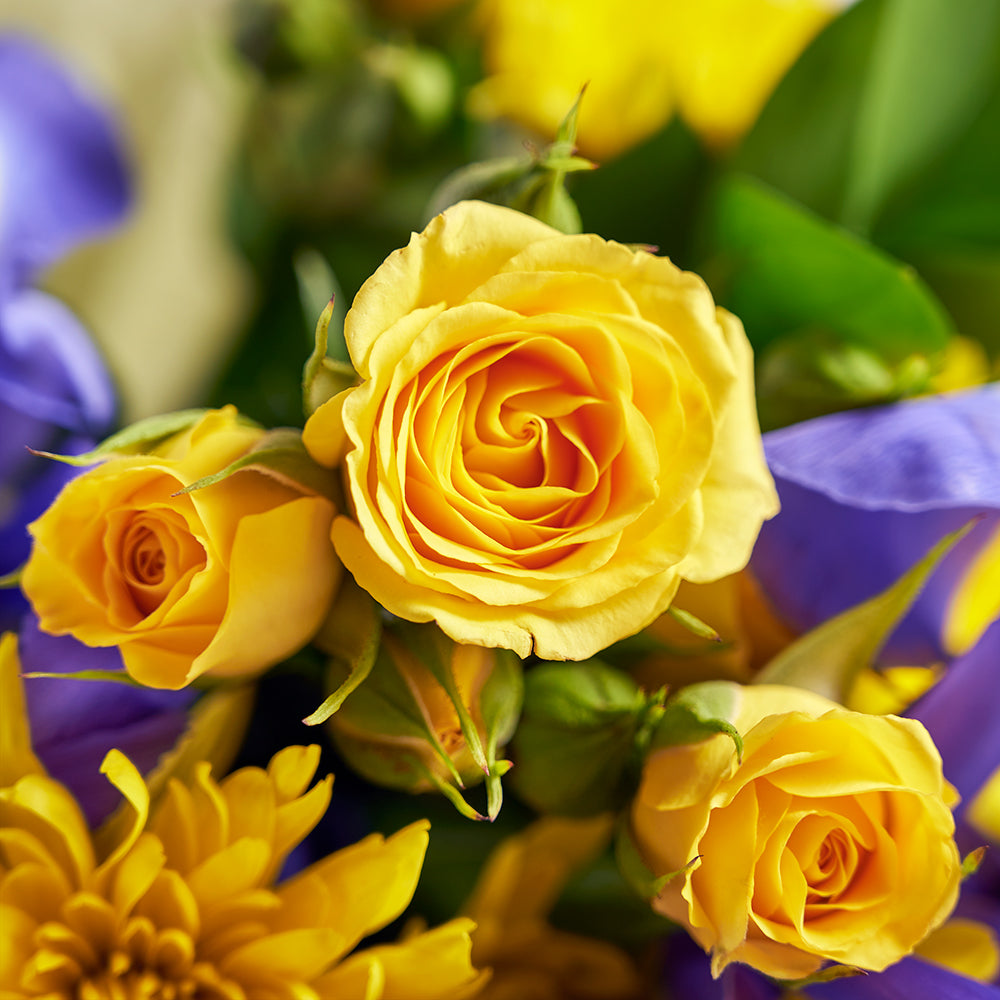 Iris and mixed floral bouquet. Same day Vancouver Delivery