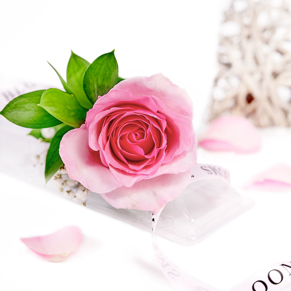 Mother's Day Single Pink Rose - Mother's Day Gifts - Vancouver Delivery