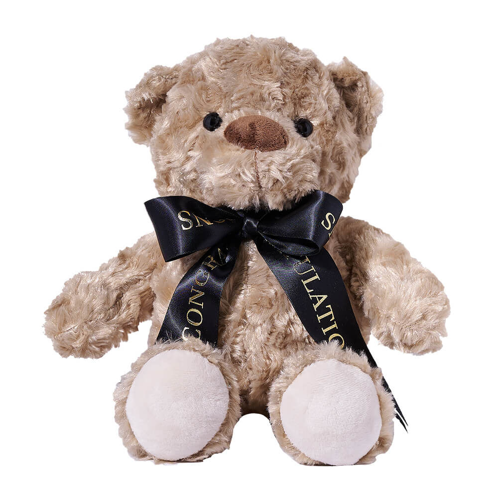 Graduation stuffed bear online