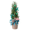 Decorated Green Mini Christmas Tree, Adorned with pre-decorated green ribbons, Christmas ornaments, and pine cones, this charming potted tree brings a delightful holiday atmosphere to any space, whether it's a grand room or a cozy corner, from Vancouver Blooms - Same Day Vancouver Delivery.
