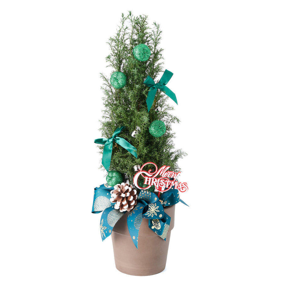 Decorated Green Mini Christmas Tree, Adorned with pre-decorated green ribbons, Christmas ornaments, and pine cones, this charming potted tree brings a delightful holiday atmosphere to any space, whether it's a grand room or a cozy corner, from Vancouver Blooms - Same Day Vancouver Delivery.