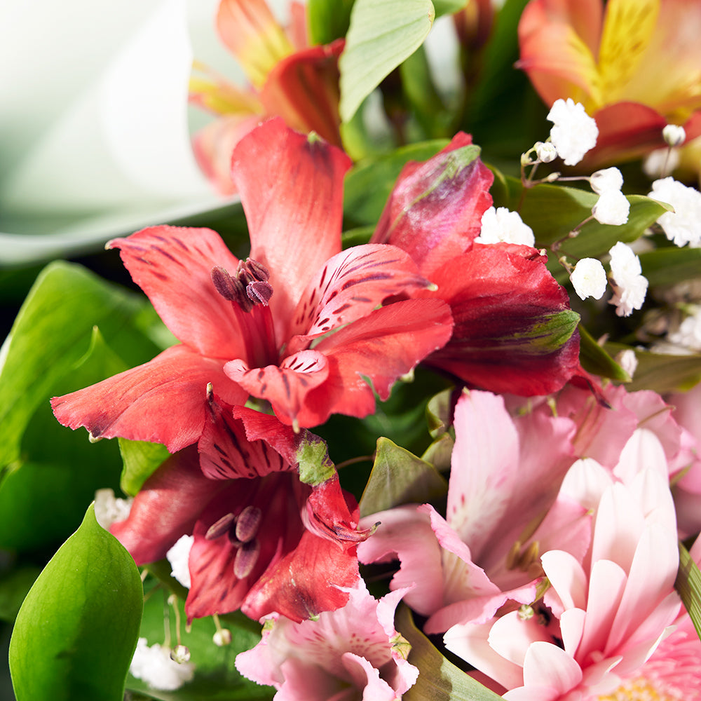 Parisian Brilliance Peruvian Lily Bouquet, Mixed Floral Bouquet Gifts from Vancouver Blooms - Same Day Vancouver Delivery.