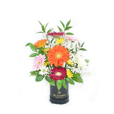 Pops of Cheer Mixed Floral Centerpiece, Brightly coloured mixed floral arrangement in a black box, from Vancouver Blooms - Same Day Vancouver Delivery.