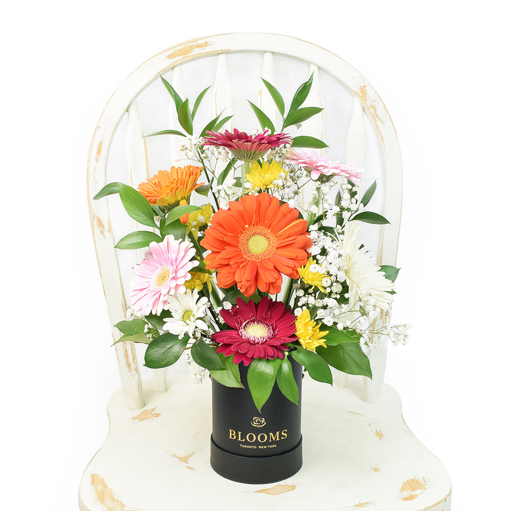 Pops of Cheer Mixed Floral Centerpiece, Brightly coloured mixed floral arrangement in a black box, from Vancouver Blooms - Same Day Vancouver Delivery.