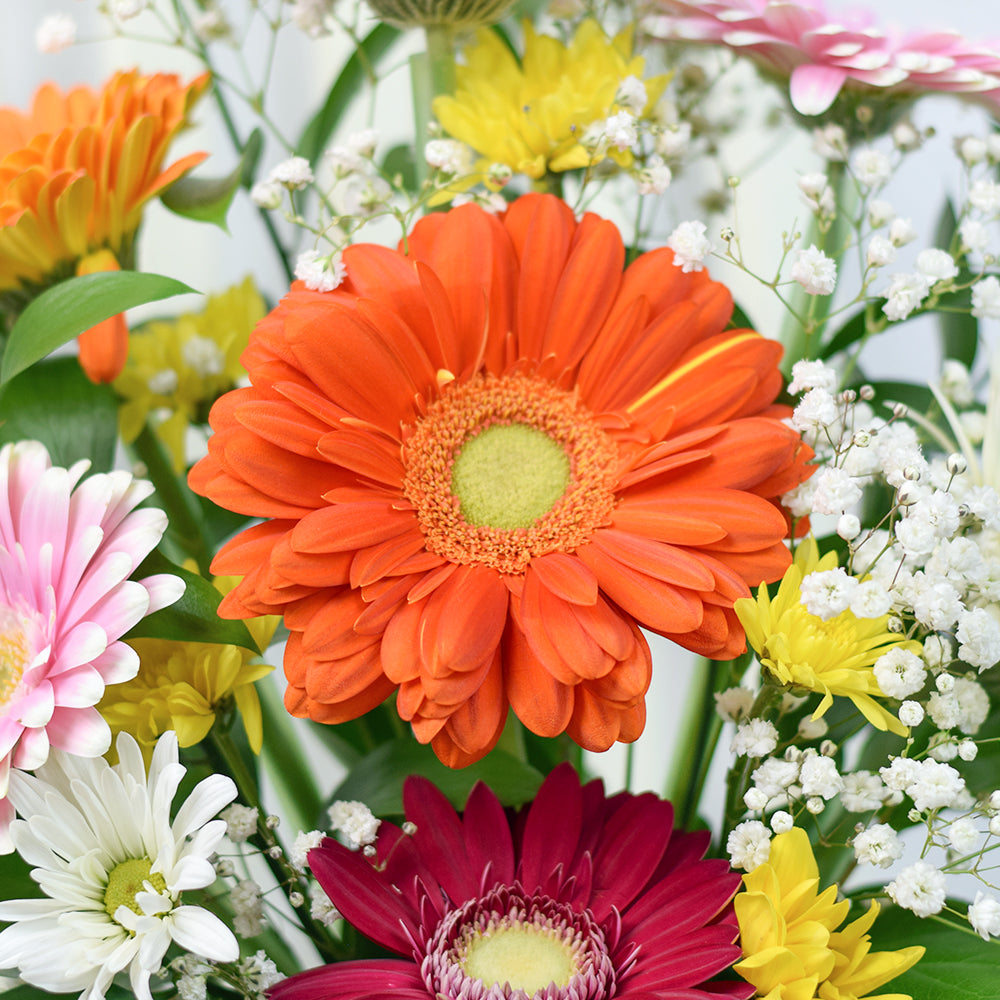 Pops of Cheer Mixed Floral Centerpiece, Brightly coloured mixed floral arrangement in a black box, from Vancouver Blooms - Same Day Vancouver Delivery.