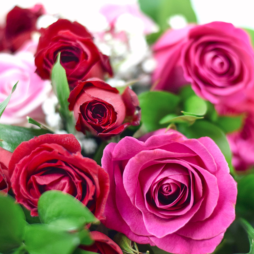 Power of Love Rose Bouquet, Pink and Red Roses Bouquet, Flower Gifts from Vancouver Blooms - Same Day Vancouver Delivery.